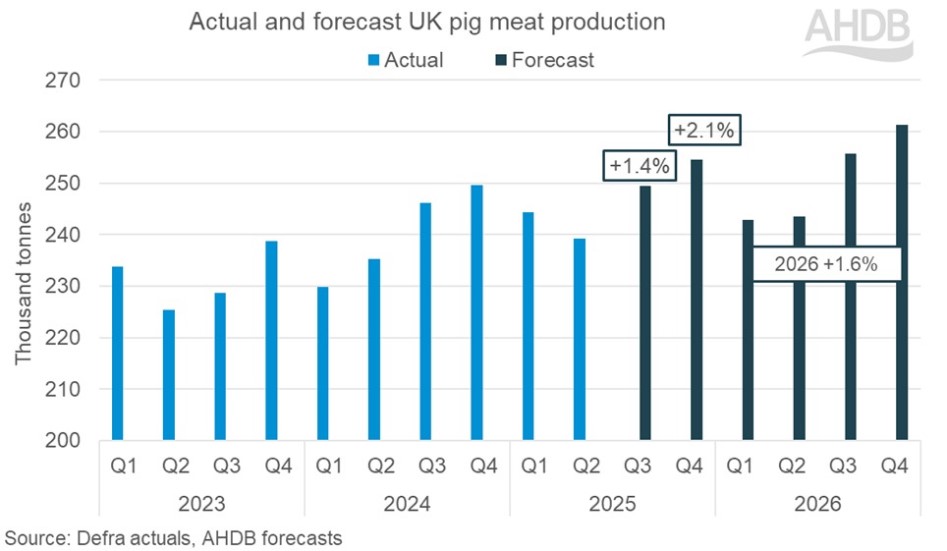 Bar chart showing actual and forecast pig meat production